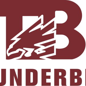 Thunderbird Yarder
