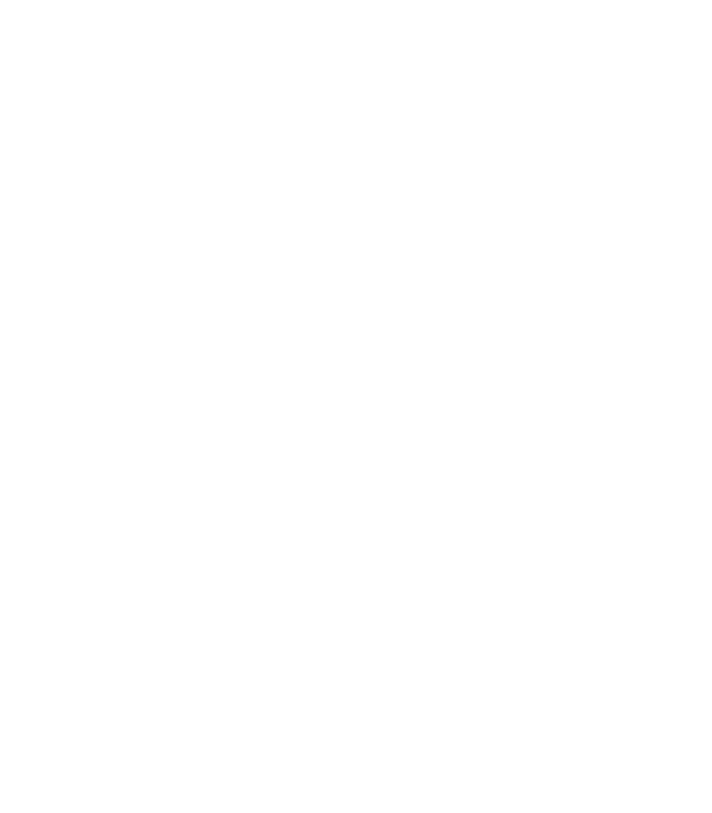 Vintage Iron Hunters Vintage Iron Hunters